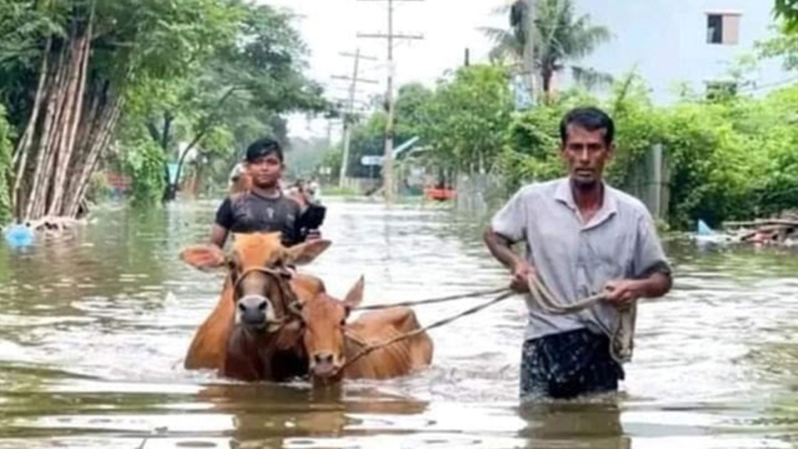 নতুন নতুন এলাকা প্লাবিত হয়ে দুর্ভোগে বানভাসিরা